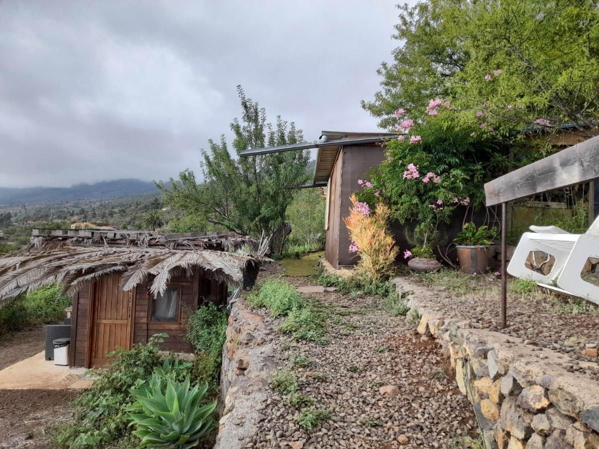 Abracaribes Bed & Breakfast Arecida Exterior photo