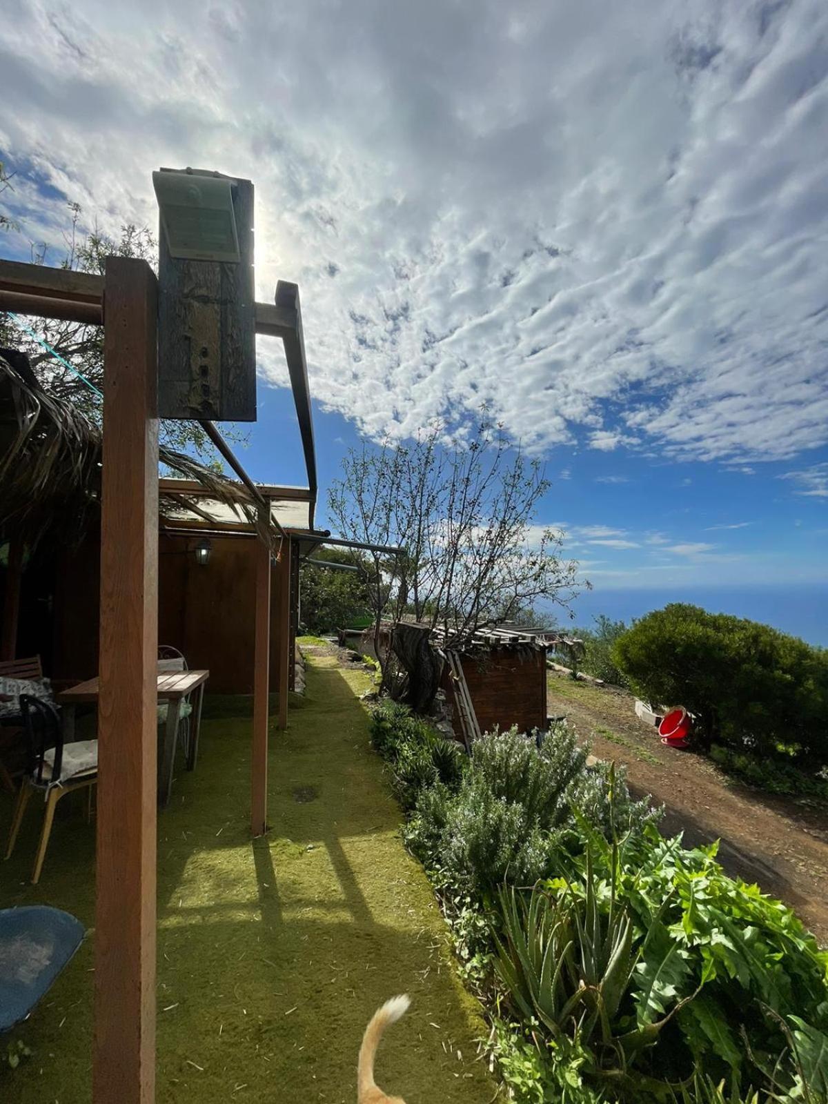 Abracaribes Bed & Breakfast Arecida Exterior photo