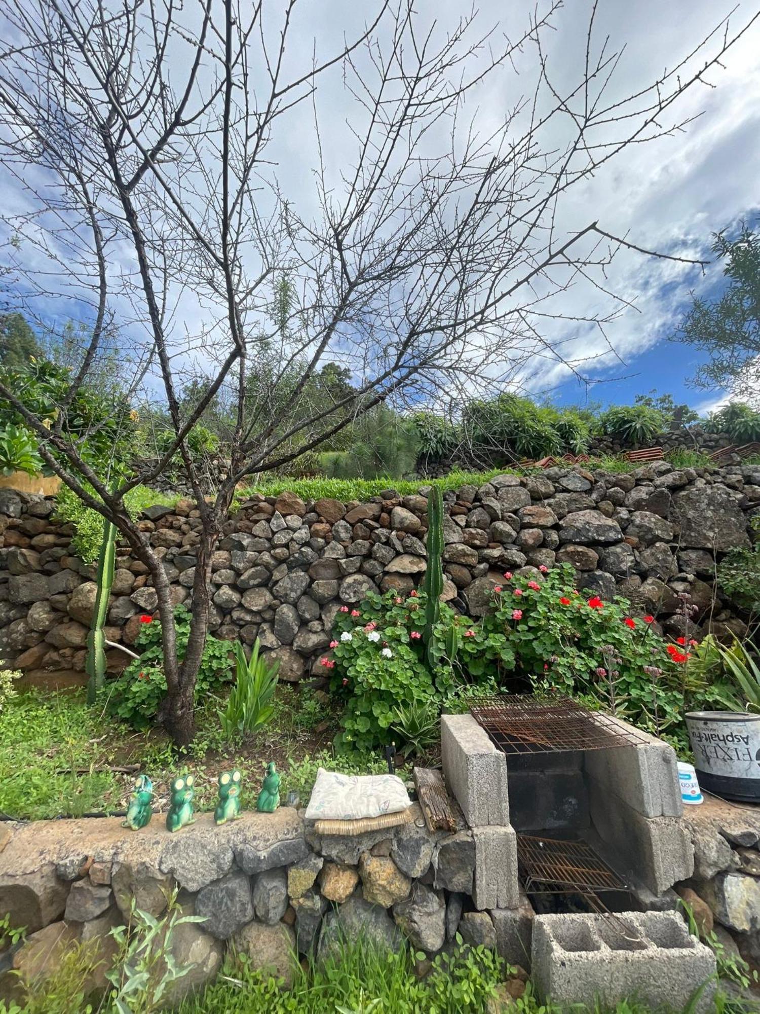 Abracaribes Bed & Breakfast Arecida Exterior photo