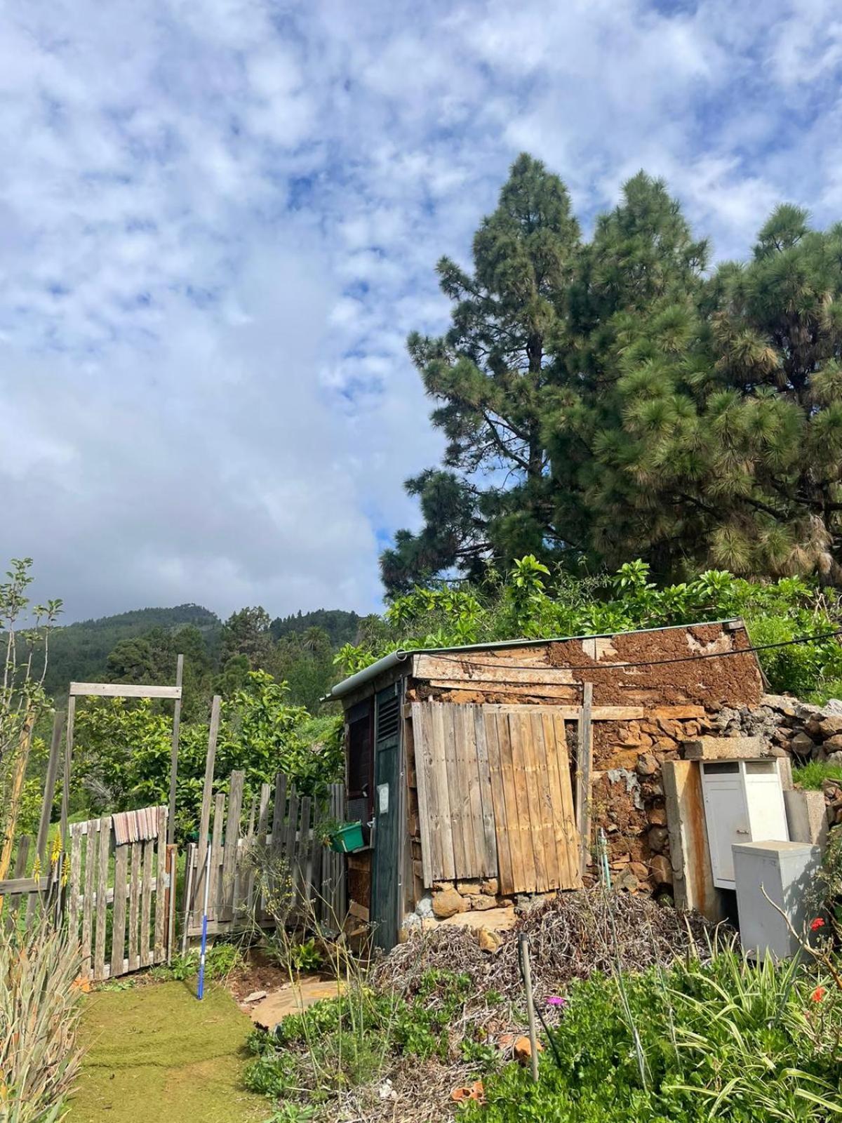 Abracaribes Bed & Breakfast Arecida Exterior photo