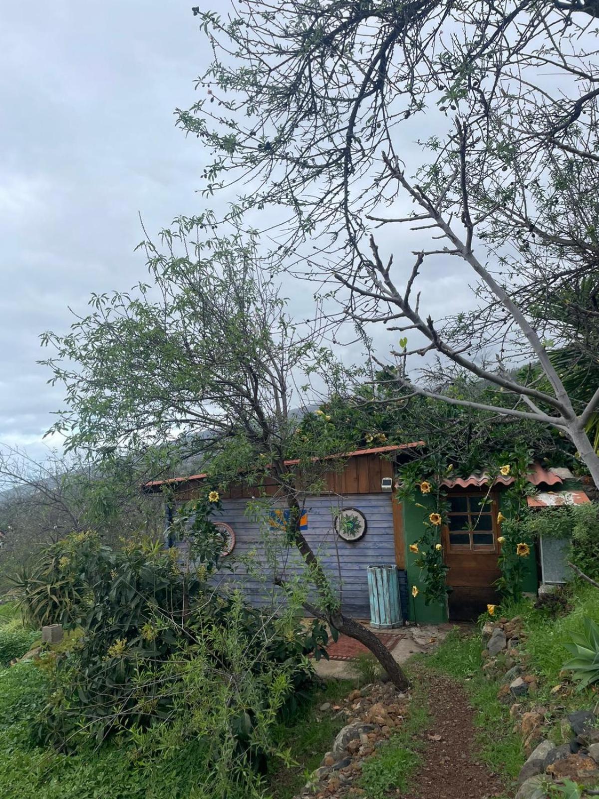 Abracaribes Bed & Breakfast Arecida Exterior photo