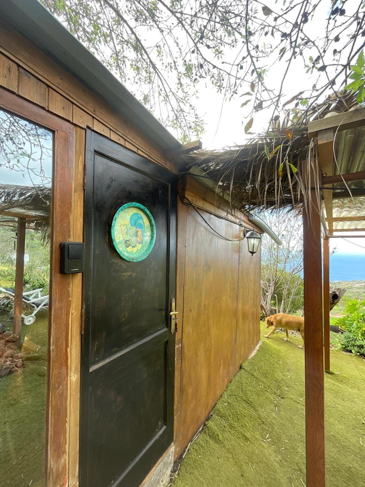 Abracaribes Bed & Breakfast Arecida Exterior photo
