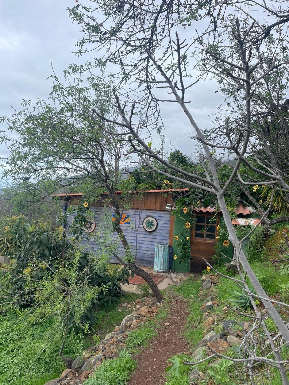 Abracaribes Bed & Breakfast Arecida Exterior photo